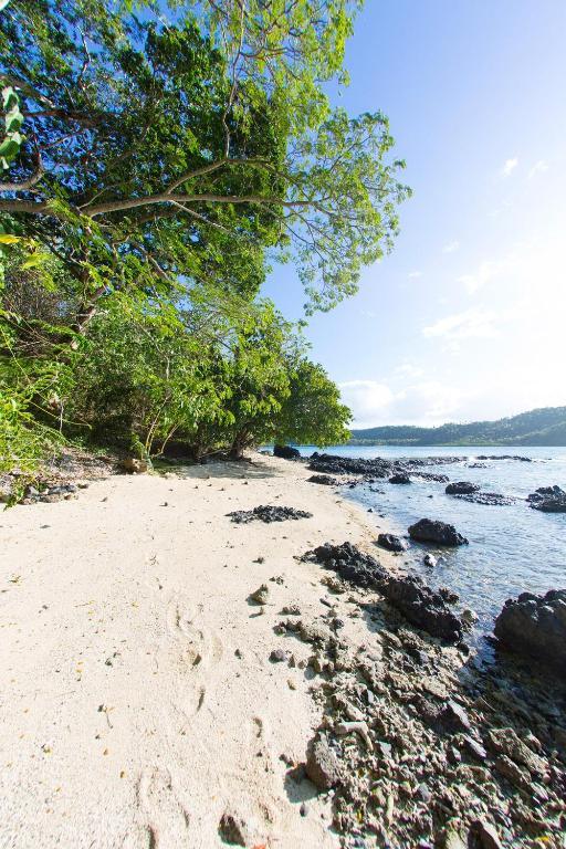 Sau Bay Resort - Off Taveuni Na Sau Bay Eksteriør billede