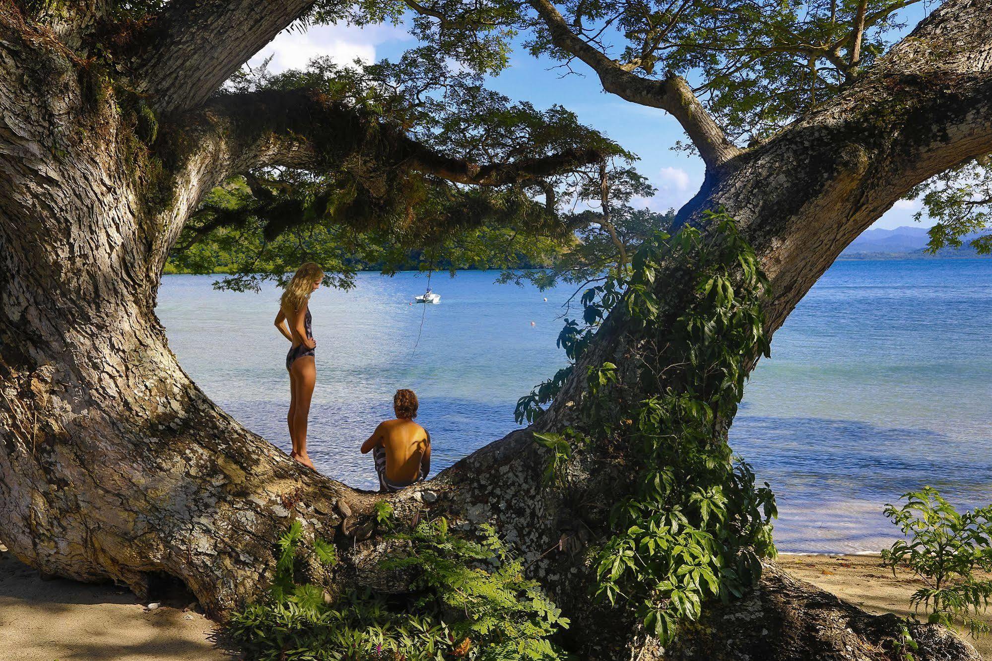 Sau Bay Resort - Off Taveuni Na Sau Bay Eksteriør billede